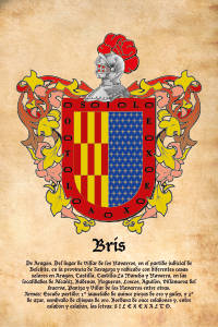 Escudo heráldico del apellido BRIS