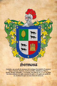 Escudo heráldico del apellido HERMOSA
