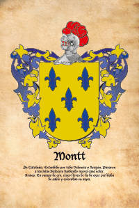 Escudo heráldico del apellido MONTT