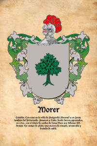 Escudo heráldico del apellido MORER
