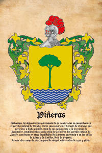 Escudo heráldico del apellido PIÑERAS