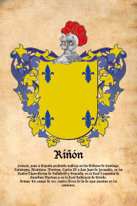 Escudo heráldico del apellido RIÑON