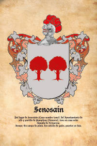 Escudo heráldico del apellido Senosain
