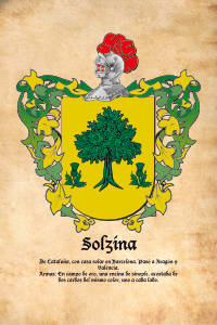 Escudo heráldico del apellido SOLZINA