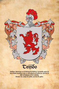 Escudo heráldico del apellido TEIJIDO