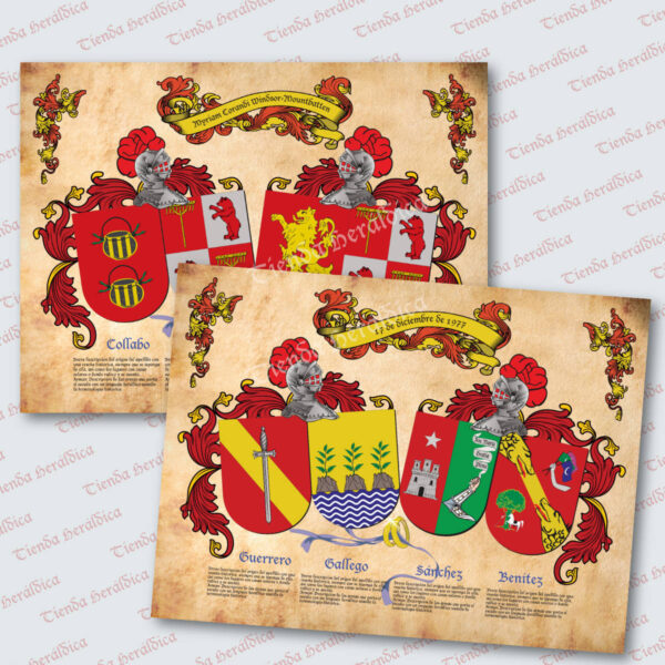 Lámina heráldica 4 escudos fondo pergamino - Imagen 2
