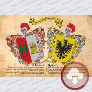 Escudos apellidos en digital, personalizados