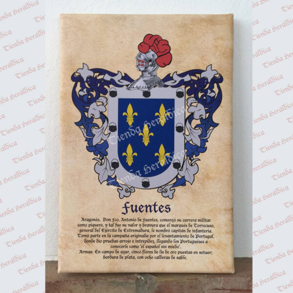 Lienzo con 1 escudo apellido